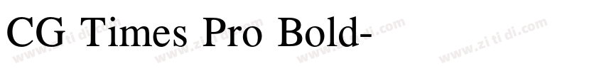 CG Times Pro Bold字体转换